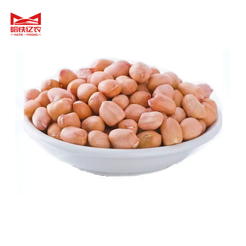 哈铁亿农 花生米 500g*20袋/箱高清大图