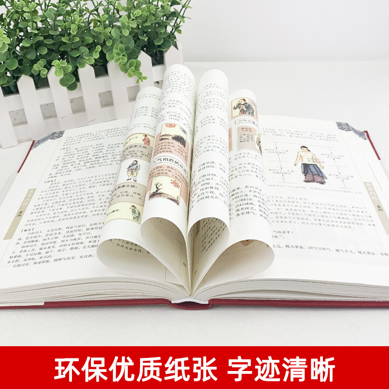 [完整无删减] 黄帝内经 全6册 [正版]精装全彩图解黄帝内经全集原文白话文版图解黄本草纲目皇帝内径原全注全译彩图中医基
