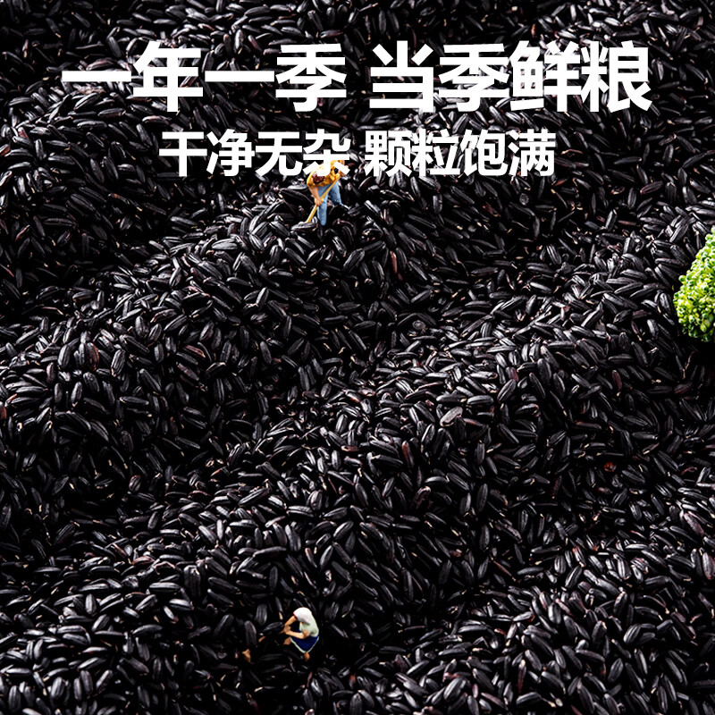 北纯黑米有机含多种矿物质颗粒饱满干净无杂溯源1.25kg高清大图