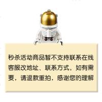 LEGO乐高 拼砌包儿童玩具拼插积木礼物玩具随机款式