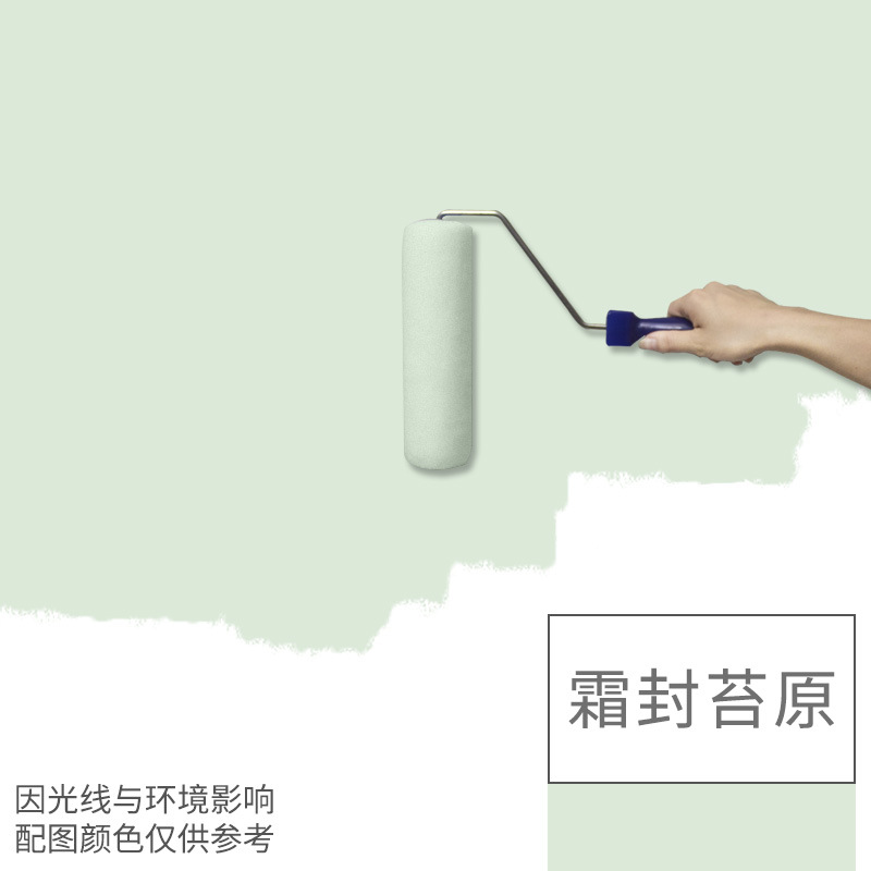好秀家涂料水性硅藻泥涂料内墙乳胶漆室内彩色墙面漆硅藻乳家用乳胶漆油漆墙纸 1kg霜封苔原(送滚筒、美纹纸)