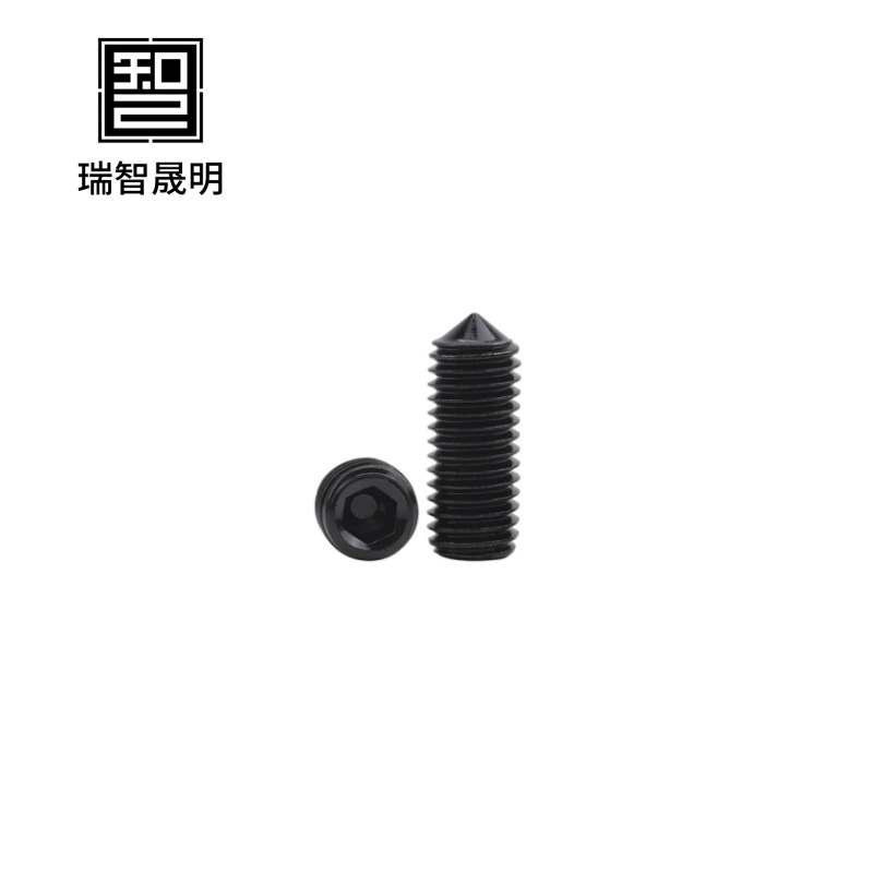 瑞智晟明(RZSM)压力螺钉 M3*825高清大图