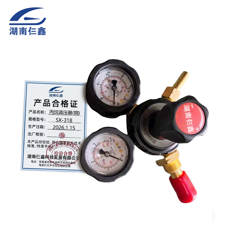 仨鑫 丙烷调压器(铜) 调压配件 SX-318 /套高清大图
