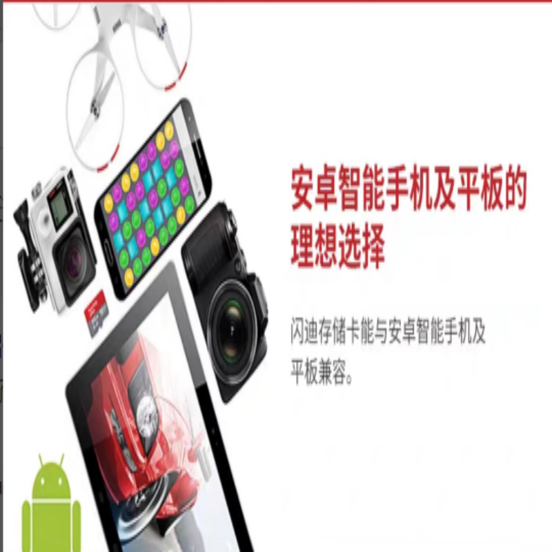 闪迪256G内存卡
