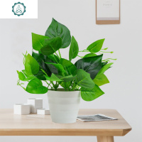 仿真绿萝植物套装塑料花家居室内客厅茶几绿叶盆栽阳台装饰品摆件 封后 大号白盆满天星混套装仿真植物