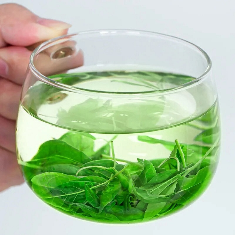 痴福 新茶青山绿水小叶苦丁嫩叶花草茶散装罐装茶叶 令心存系列pet小叶苦丁方罐1罐135克
