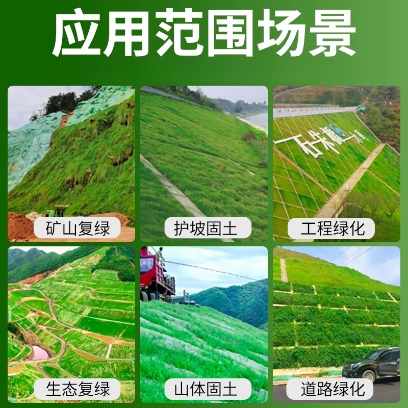 诚智旺 宽叶草籽(边坡专用)净籽/千克高清大图