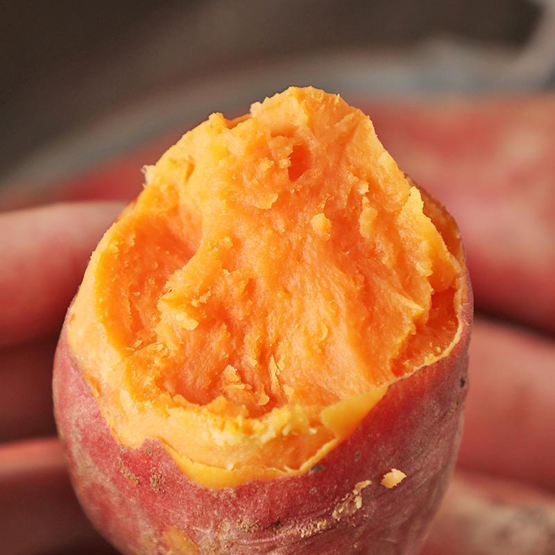 [西沛生鲜]海南西瓜蜜薯 5斤 大果 红心糖心蜜薯 新鲜农家沙地超甜