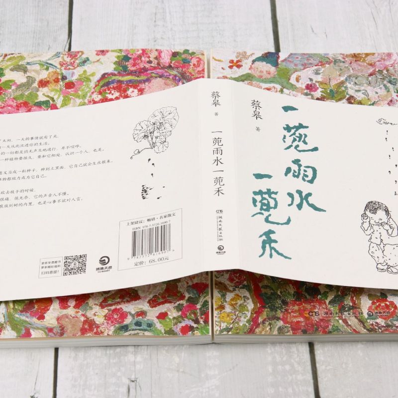 [正版]一蔸雨水一蔸禾 艺术家蔡皋澄澈人生笔记代表作新版 回归清澈活出自己 生活是一万个值得找回生命的感动和生活的意义高清大图
