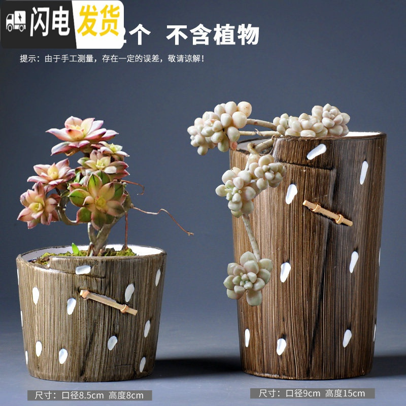 肉肉植物老桩 报价行情 排行 品牌 参数 怎么样 图片 商家 苏宁易购