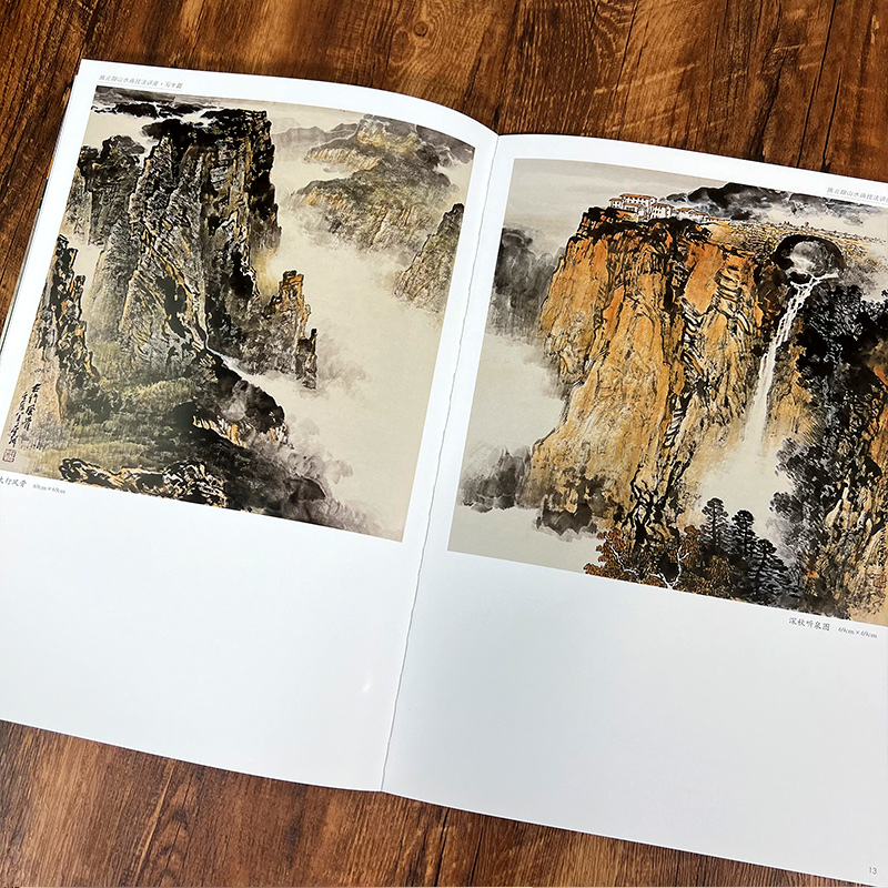 [正版图书]施云翔山水画技法讲座-写生篇 白描画谱勾勒解析/国画水墨画临摹画册绘画书籍/初学者毛笔绘画美术入门教程/中国高清大图