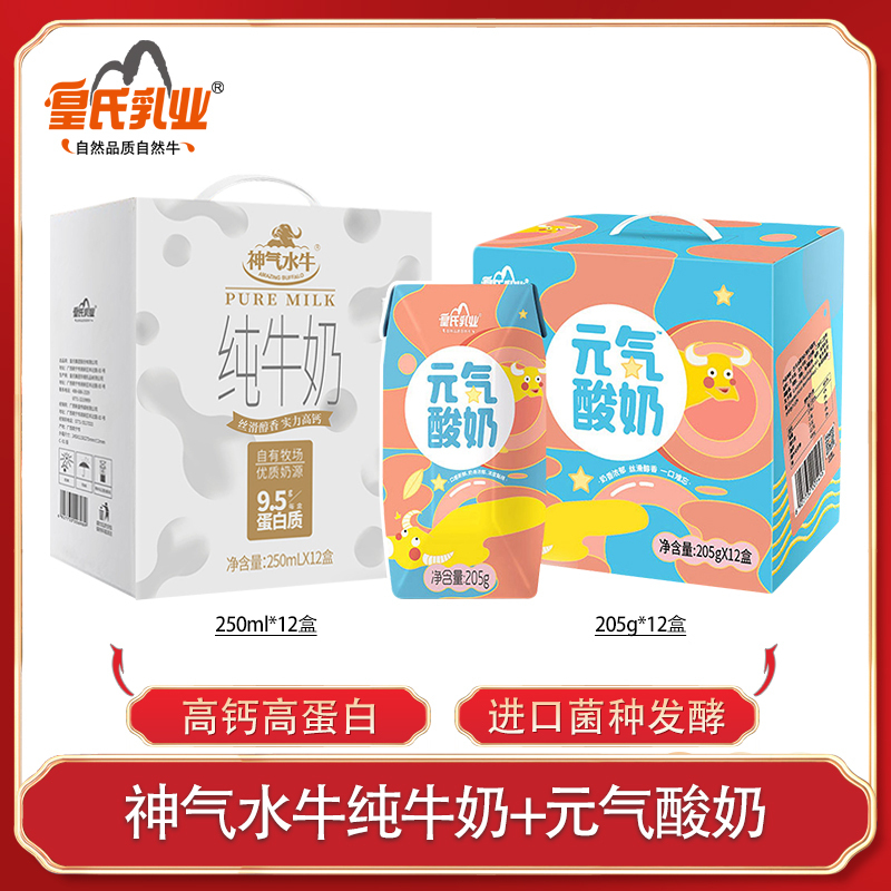 皇氏乳业神气水牛纯牛奶250ml*12盒孕妇儿童营养高钙奶搭配元气酸奶原味205g*12盒整箱儿童学生早餐奶组合