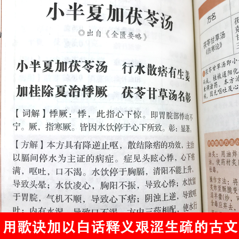 通半夏泻心汤方剂学归脾汤中医书籍中医养生草药书药性赋汤头>800_800