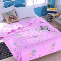 新款空调被夏凉被单人双人夏被大人学生宿舍轻薄被子可水洗机洗_30 90*141cm【幼儿园午睡款】 adj-富贵花朵
