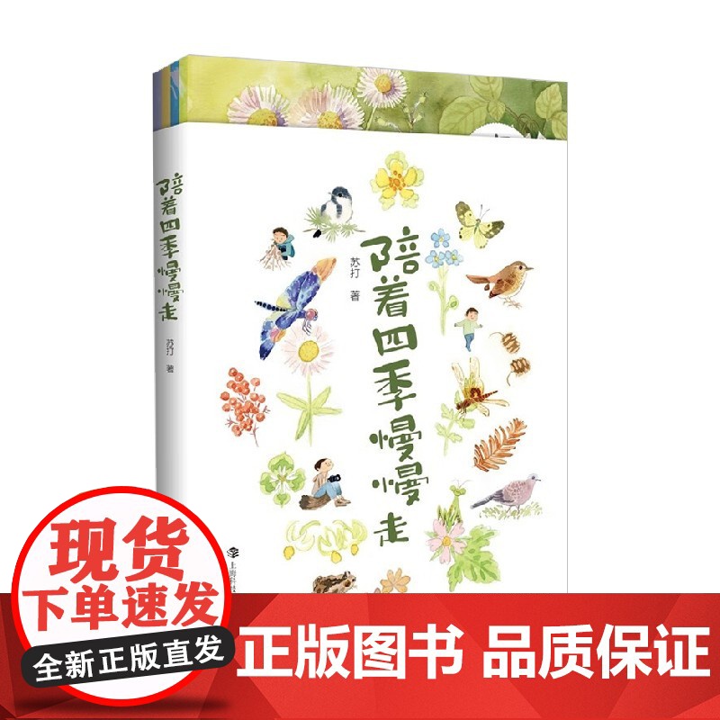 陪着四季慢慢走 苏打 编著 认识四季 认识自然 科普读物高清大图