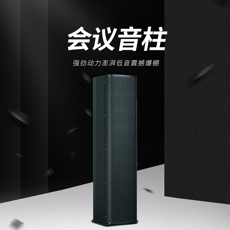 润普(Runpu) 国产化音视频会议室展厅教室礼堂报告厅专业会议线阵音柱/音响/音箱/喇叭扬声器RP-HYZ622