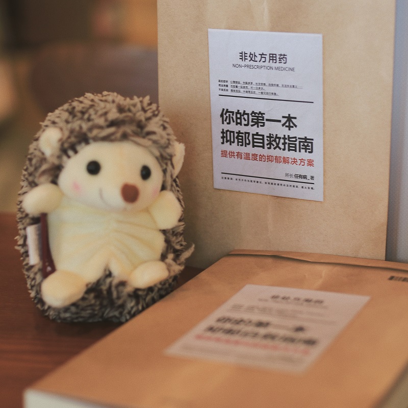 [正版]你的第一本抑郁自救指南 任有病著 著 情商与情绪社科 书店图书籍 出版社高清大图