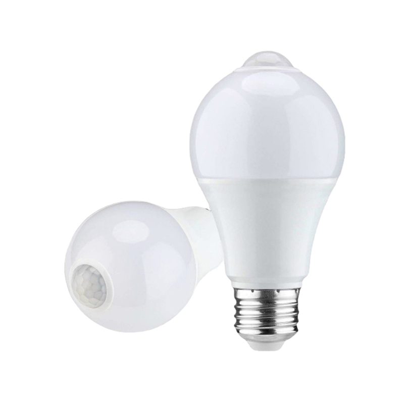 亮思能 LED人体感应灯泡 球泡 LSN-E27 12W 个