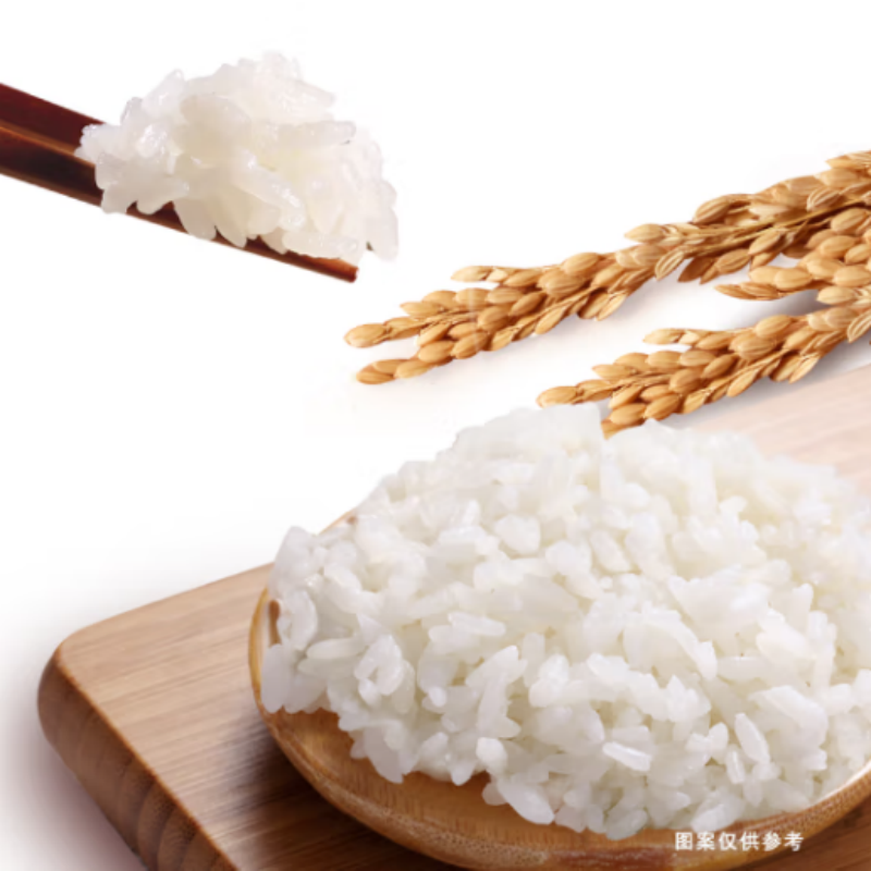 金龙鱼 长粒香大米 东北大米 5KG