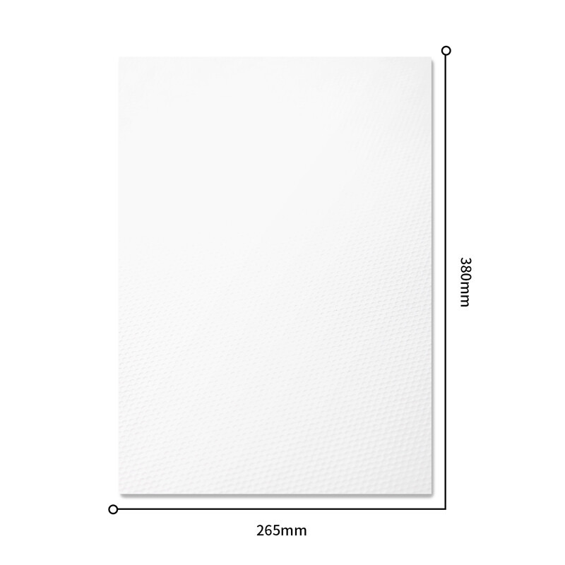 得力(deli)73617水粉纸 加厚180g美术绘画专用 画画纸 8K/20张[2本]复印纸高清大图