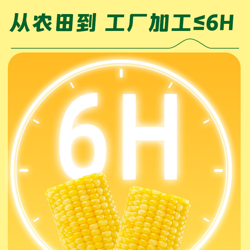 十月稻田玉米黄糯玉米东北黏苞米早餐粗粮真空包装800g