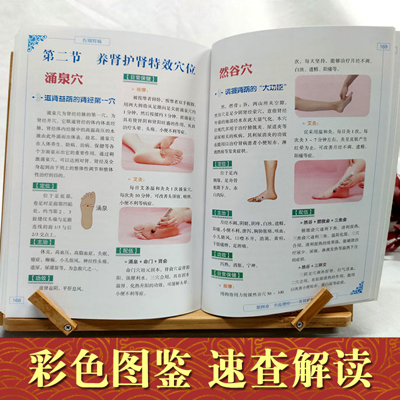 [正版]告别肾病图解中医饮食对症药膳营养食谱理疗调养养肾补肾壮阳妙招传世名方经络穴位按摩拔罐刮痧艾灸疗法养生大全中医肾高清大图