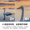 影石Insta360 Luna Pro 8K 徕卡旗舰云台相机 一英寸杜比视界 Vlog套餐 星曜黑