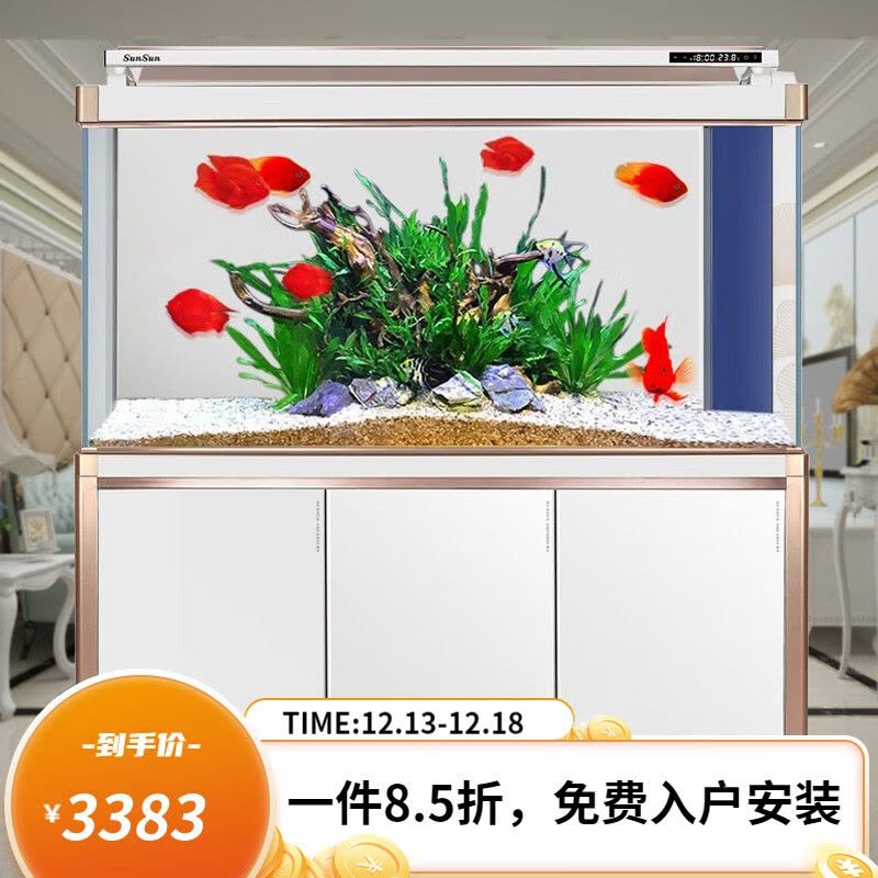 鱼缸水族箱超白玻璃客厅办公室大型底过滤生态金鱼龙鱼缸图片
