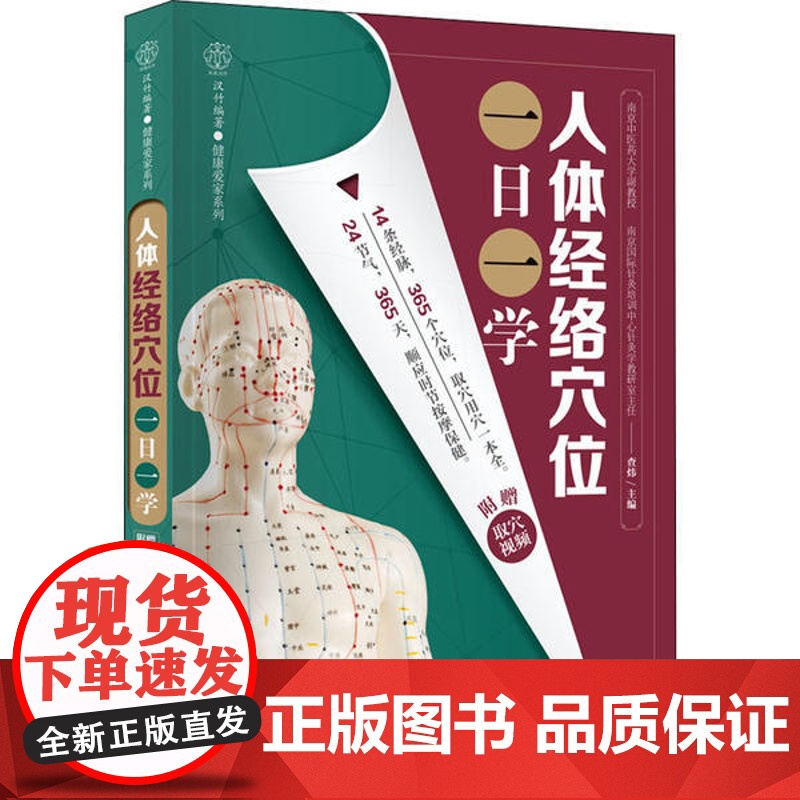 正版新书 人体经络穴位一日一学 查炜 江苏凤凰科学技术出版社高清大图