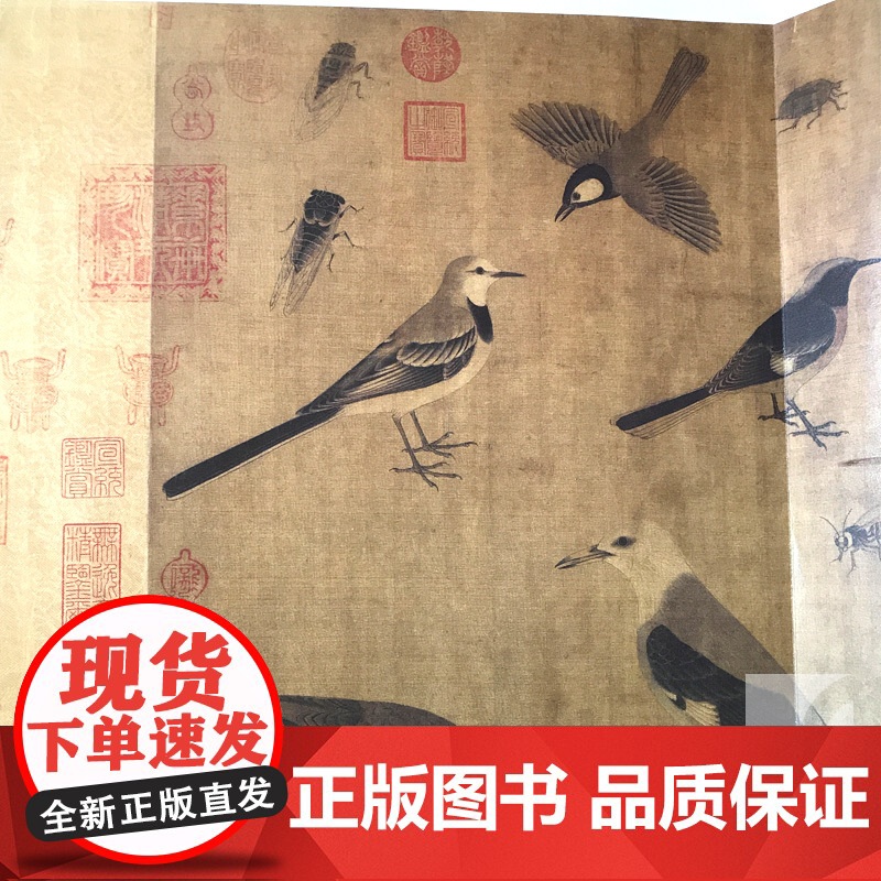 黄荃写生珍禽图黄居寀山鹧棘雀图中国绘画名品 正版画册书籍五代两宋花鸟画代表性画家动物山石荆棘整图拉页文化 上海书画出版社高清大图