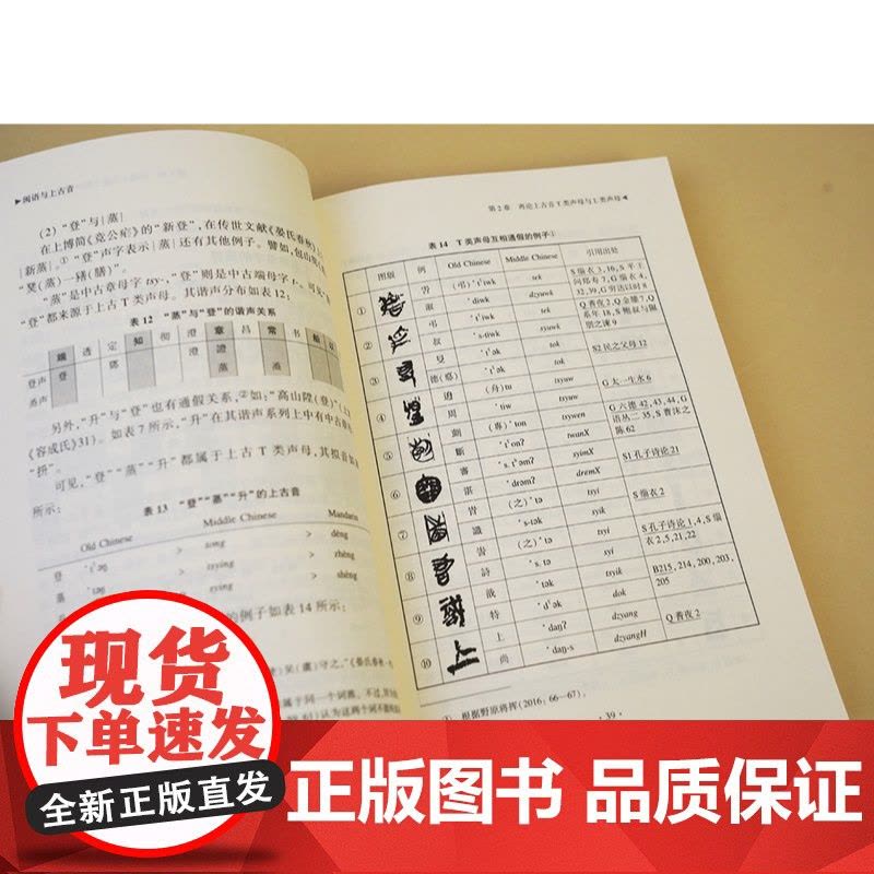 闽语与上古音 野原将挥著秋谷裕幸中西书局中古汉语语言文字理论方言图书图片