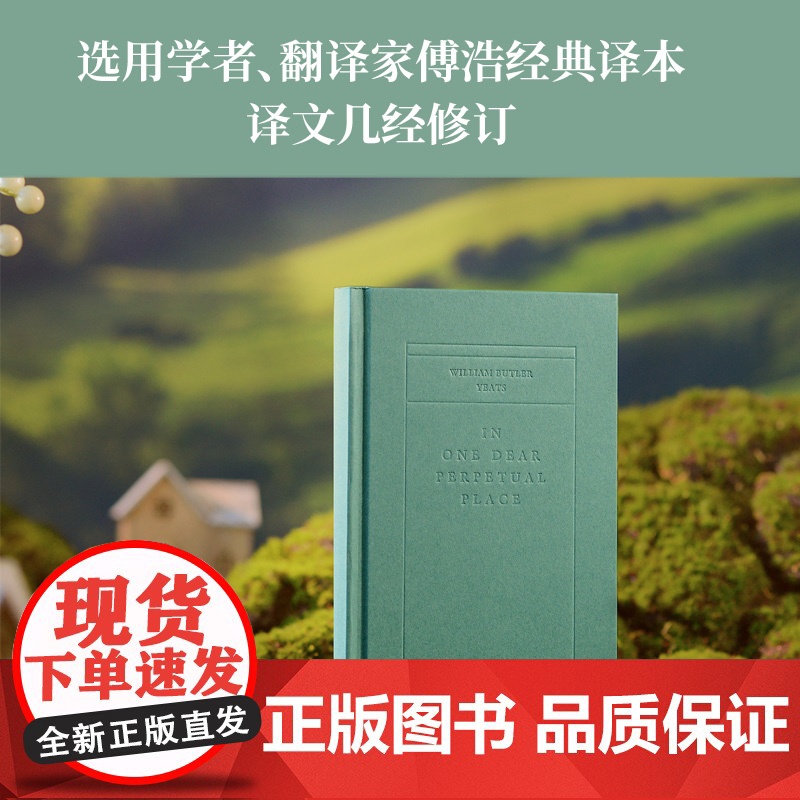 在可爱的永恒之处:叶芝诗选 爱尔兰文艺复兴运动领袖 诺贝尔文学奖得主叶芝代表诗作 翻译家傅浩经典译本 收录内文插图和生平高清大图