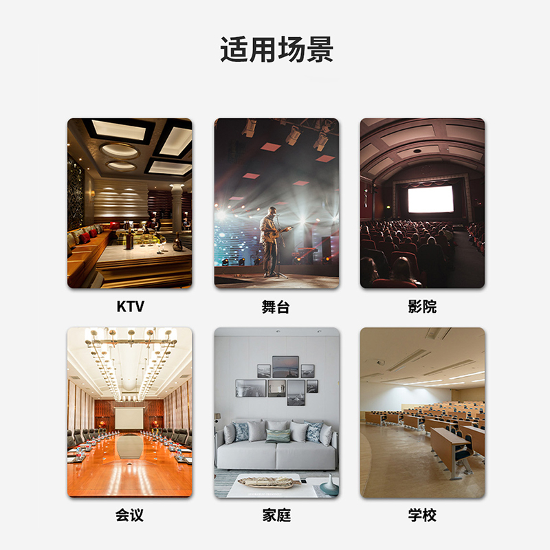 润普RP-XGF50 国产化会议室音频系统扩声设备带显示屏500W后级功放