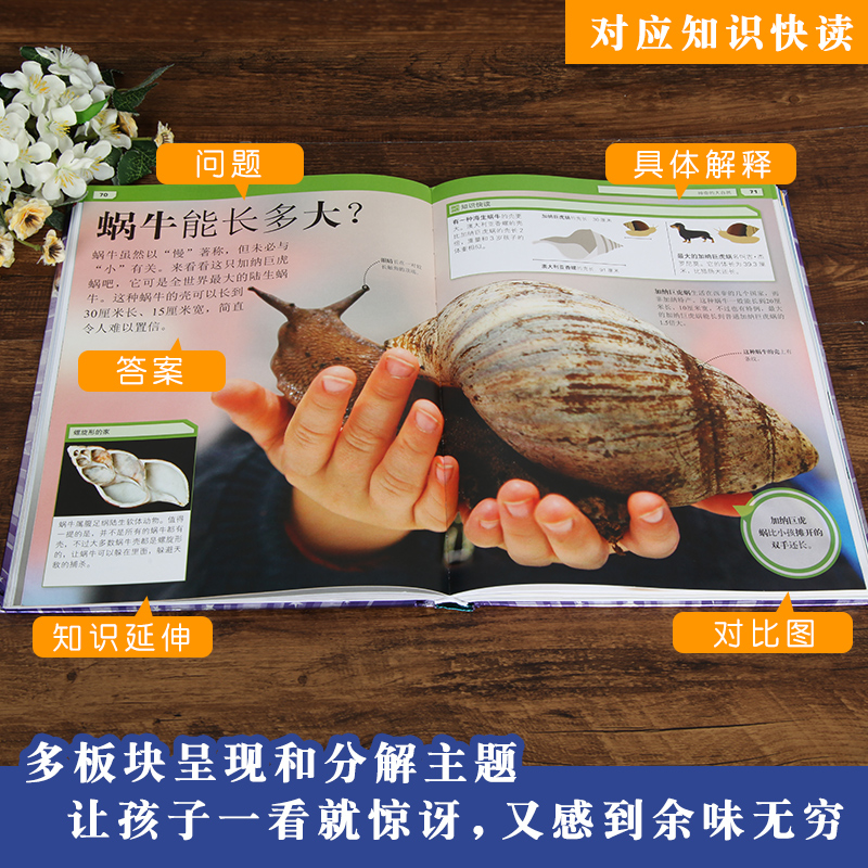 [正版]DK儿童奇趣百科全书难以置信 精装 dk版十万个为什么地球自然人类工程汽车交通工具制造百科知识大全书科普书籍小高清大图