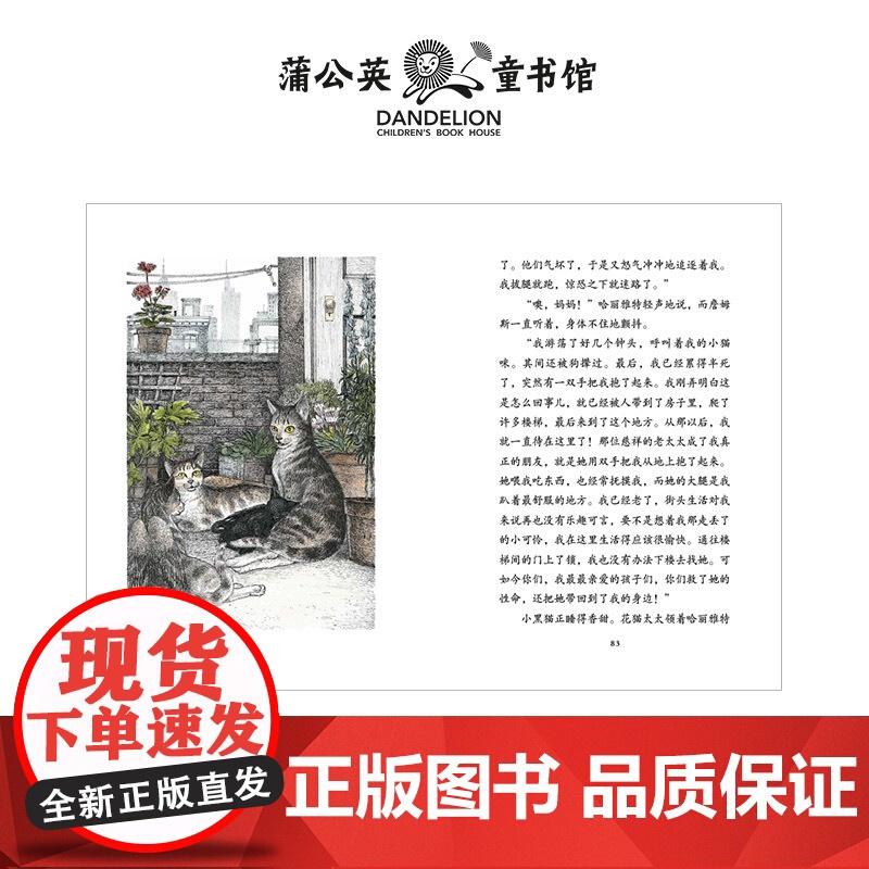 长翅膀的猫厄平装休拉·勒古恩写给孩子的成长冒险故事告诉孩子悦纳自己的与众不同勇敢去探索未知的世界小学生蒲公英出品正版童书高清大图