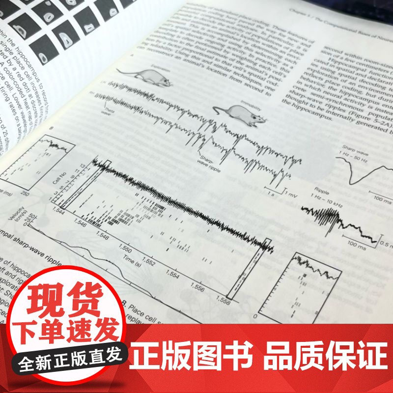 正版 神经科学原理(英文版·原书第6版)神经科学 神经科学原理 诺贝尔奖 教科书金标准 埃里克·R.坎德尔 认知 行高清大图