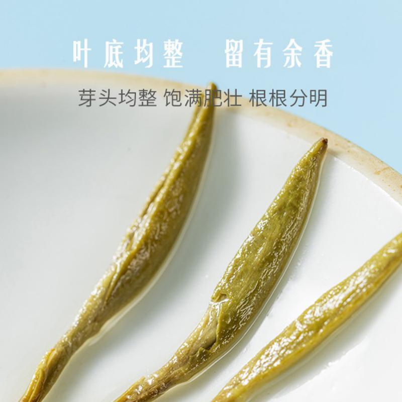 莲裕茉莉花茶大白毫250克桶高清大图