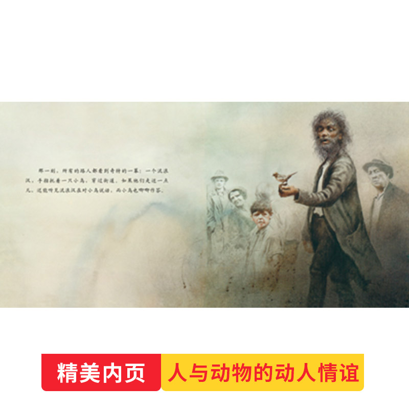 单本全册 [正版]断喙鸟硬壳精装图画书启发关于生命主题绘本4岁以上亲子阅读童书高清大图
