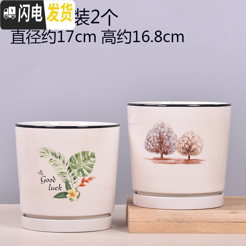 三维工匠欧式花盆陶瓷大号特价清仓多肉绿萝植物花盆塑料小花盆 TA02套装2个带托盘 大_415