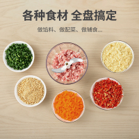 炊大皇(COOKER KING) 小绿瓶手动绞碎器CF34397