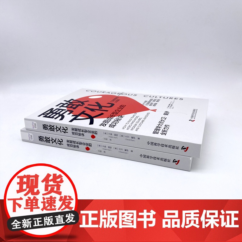 勇敢文化:发掘成长型企业的成功秘诀高清大图