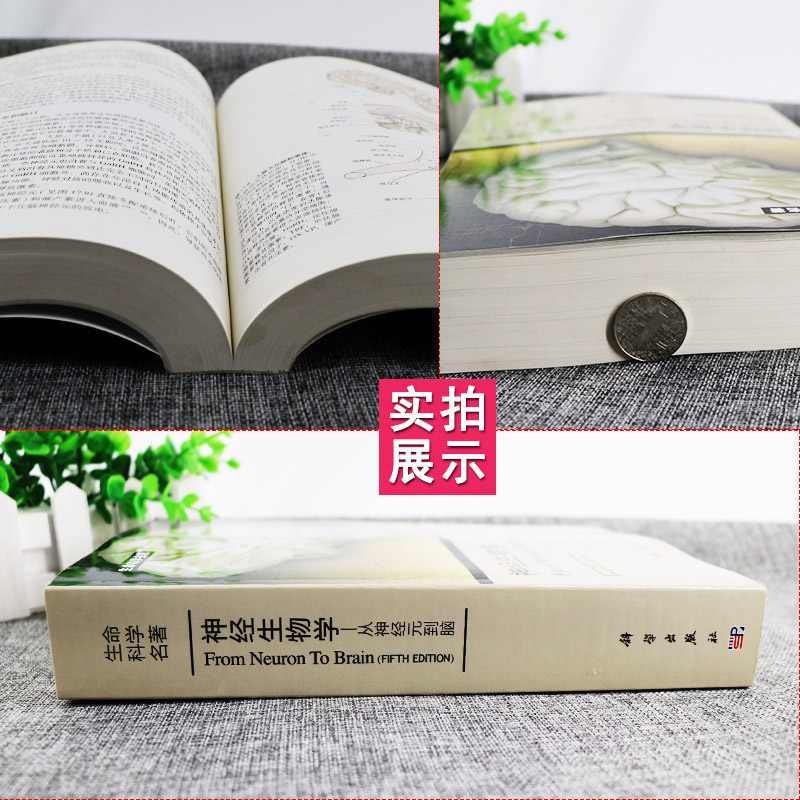 [醉染正版]正版 神经生物学从神经元到脑 原书第五版 意 尼克尔斯尼,杨雄里译 生命科学 生物学心理学和医学参考书教辅书高清大图