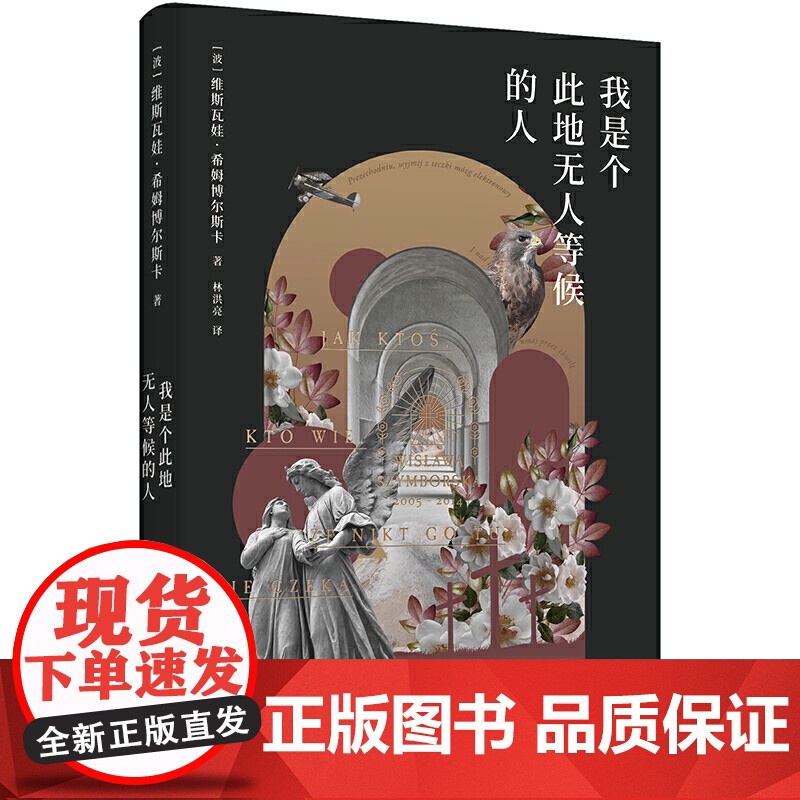我是个此地无人等候的人高清大图