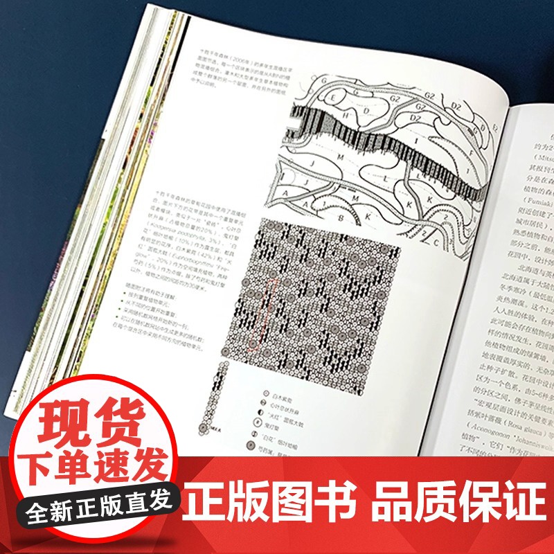 正版书籍 荒野之美自然主义种植设计荷皮特·奥多夫家庭庭院植物栽培植物混合种植的新兴自然主义种植设计园林景观种植设计高清大图