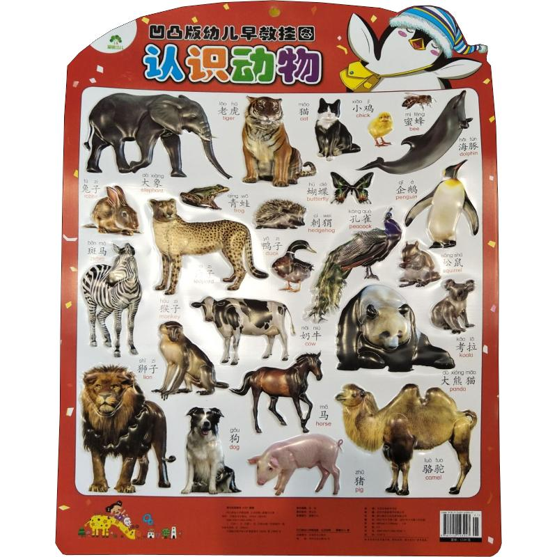 【M】凹凸版幼儿早教挂图 认识动物 爱德少儿 著 -9787540143947