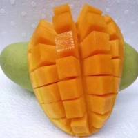[鲜贝达生鲜] 广西金煌芒水仙芒果5斤装中果200-300克(8-12个) 时令新鲜水果产地直发