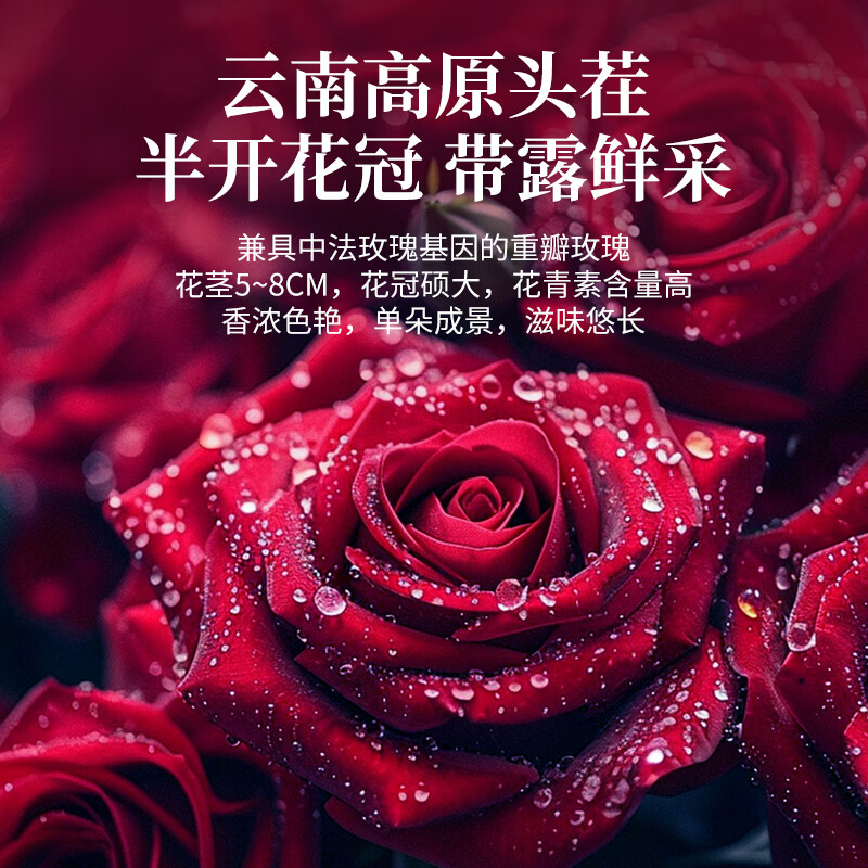 福东海-有机重瓣红玫瑰(墨红玫瑰)50克/罐高清大图