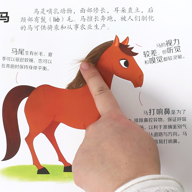 [醉染正版]好好玩立体触摸书 全4册儿童3D立体书 0-1-2-6岁幼儿启蒙认知洞洞书翻翻看 农场宝贝海洋动物神奇生命高清大图