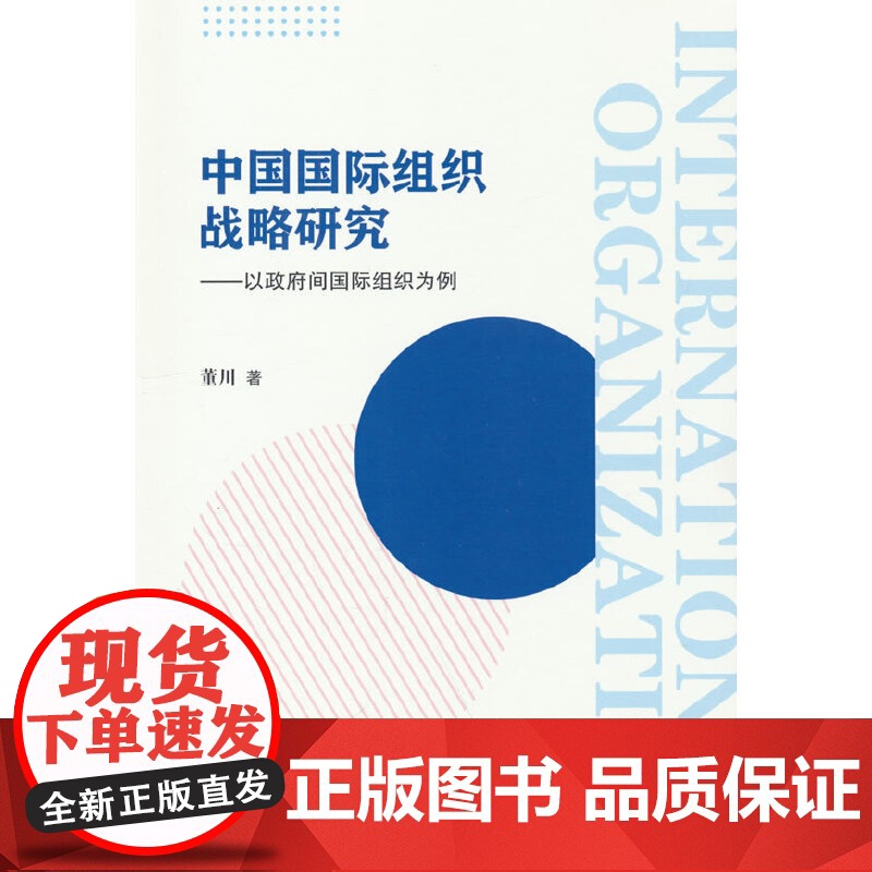 中国国际组织战略研究——以政府间国际组织为例 董川 著 天津人民出版社 战略管理 战略管理高清大图