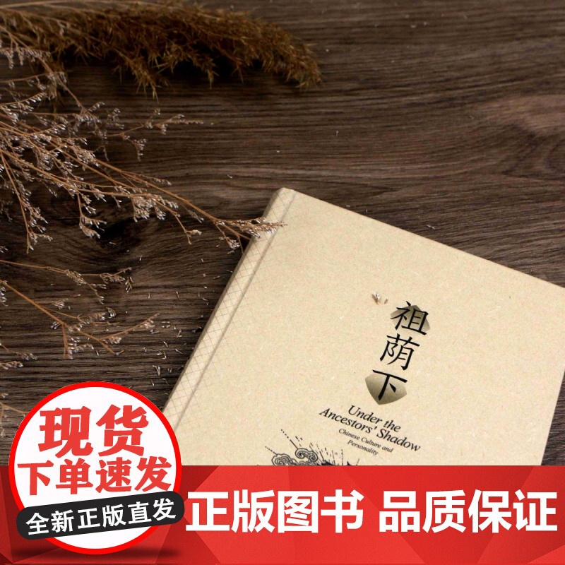 智慧宫024·祖荫下 传统中国的亲属关系、人格和社会流动高清大图